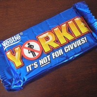 Yorkie